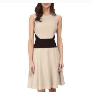 Calvin Klein Colorblock Fit & Flare Midi Dress Size 6